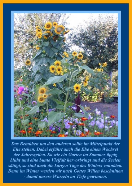 Faltkarte 6 Stück 'Blumen/Blauer Rand'