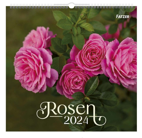 Rosen - Wandkalender 2024