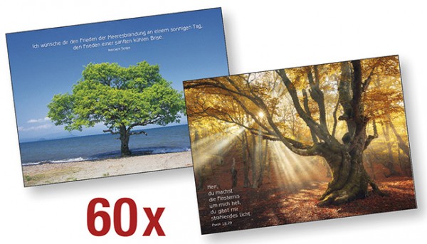 Paket 'Bäume-Postkarten' 60 Ex.