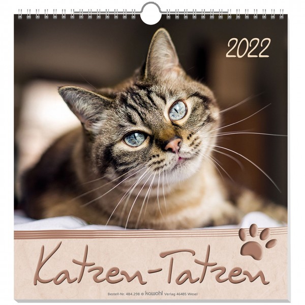 Katzen-Tatzen 2024